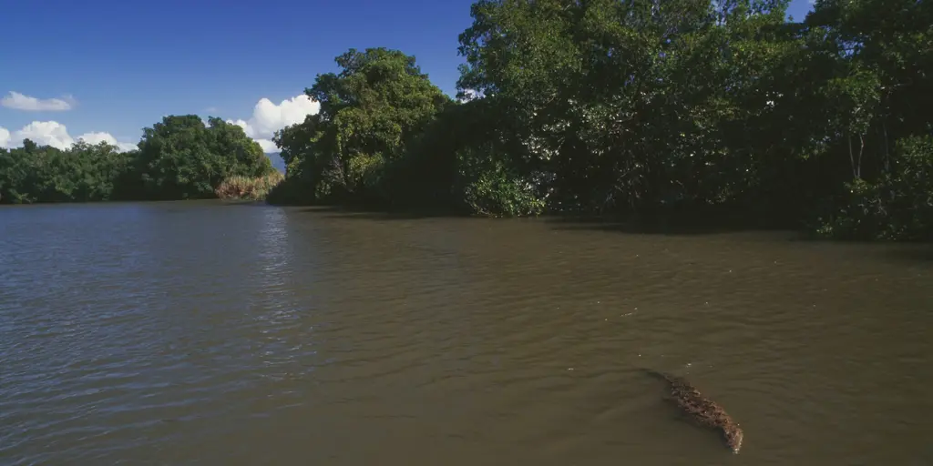 Jamaican officials issue warn of crocodiles as Hurricane Melissa wreaks havoc