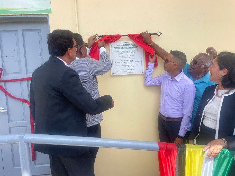 Biotech plant culture lab commissioned at NAREI