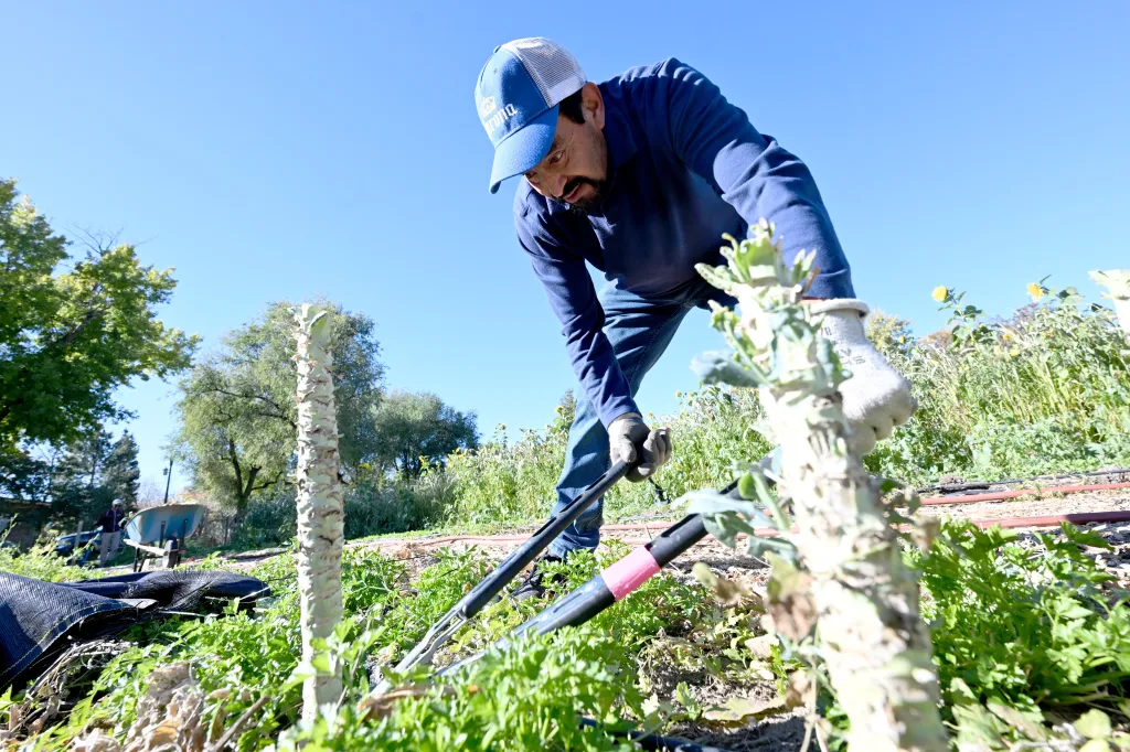 Longmont's Bethlehem Lutheran Church boasts green efforts