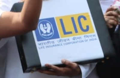 LIC stock surges 24.5 pc as insurer posts steady profit growth