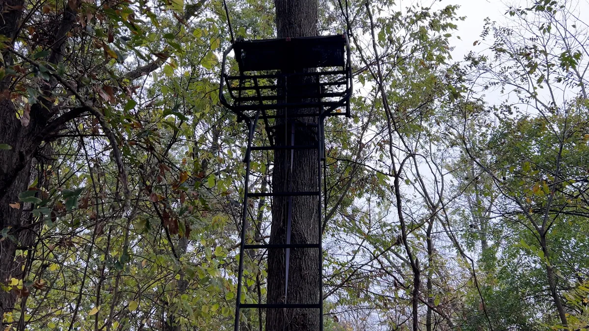 Missouri Department of Conservation urges harness use in tree stands during hunting after man found dead in east Columbia