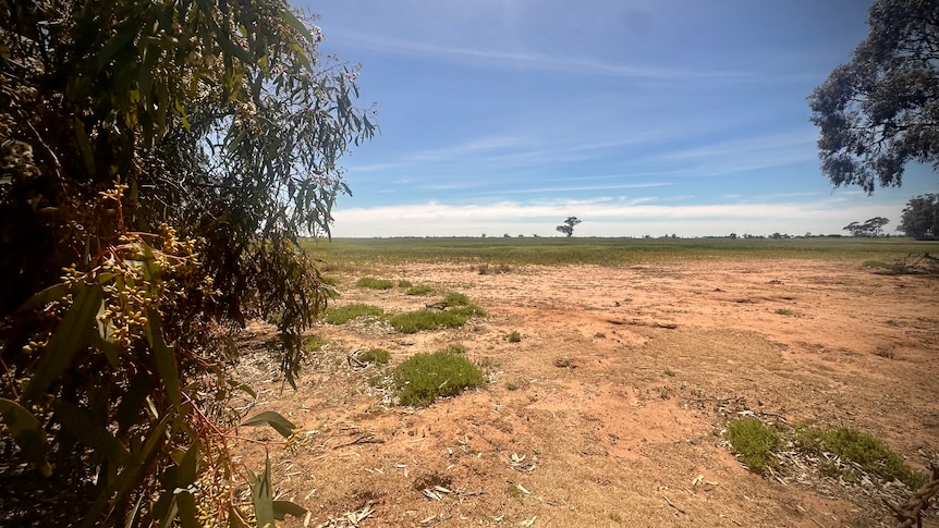 Traditional owner group calls for a pause on Victorian mining approvals