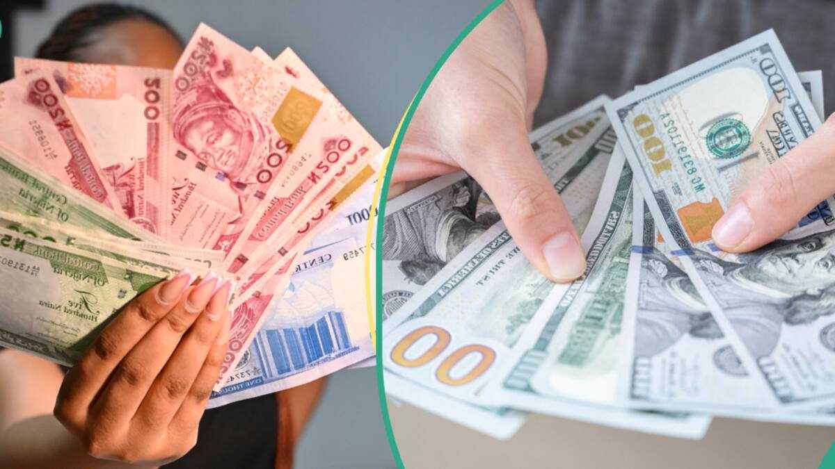 How investors' dollar supply caused the naira's appreciation