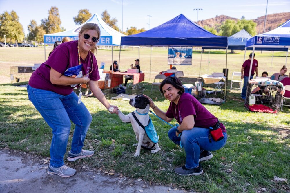 City to host Paws at the Park