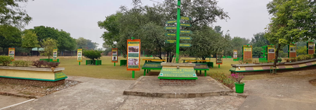 Manuka, a new addition to Chandigarh’s Museum of Trees