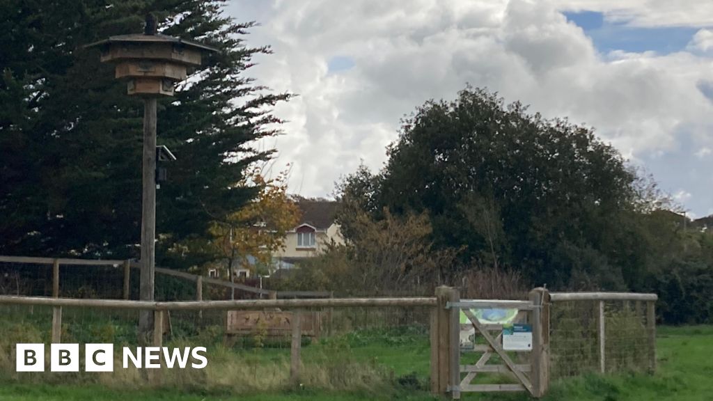 Funding secured for nature to flourish in south