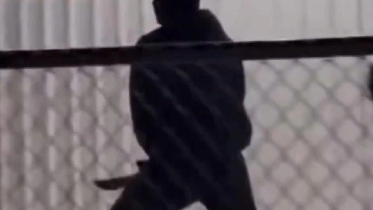 ‘He’s got a knife!’: Terrifying footage before Melbourne stabbing