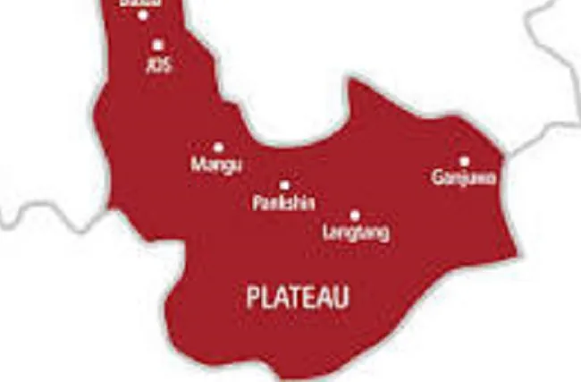 Council boss decries high rate of underaged miners