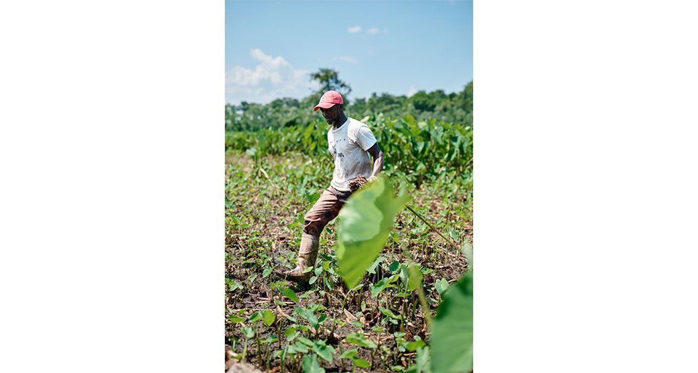For the Love of Farming