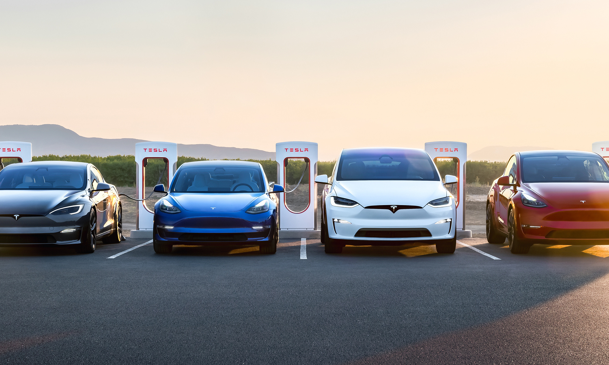 The Secret to Finding the Next Tesla Is Hiding in Plain Sight