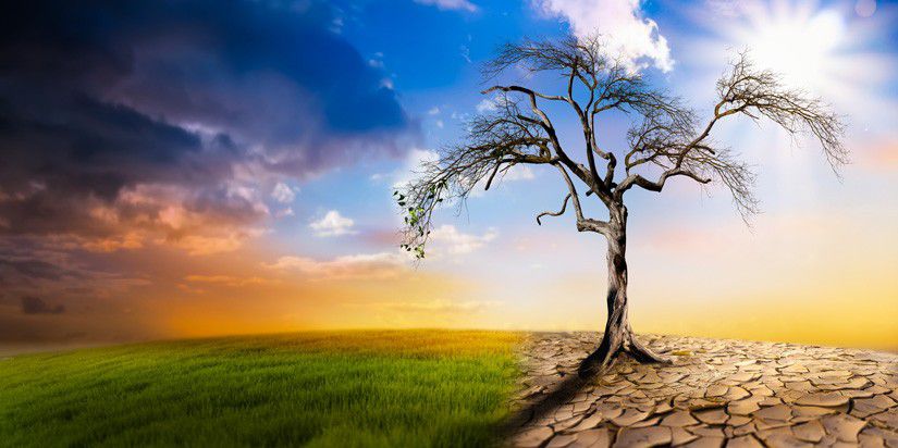 Why Climate Leadership Must Go Beyond Commitments to Implementation