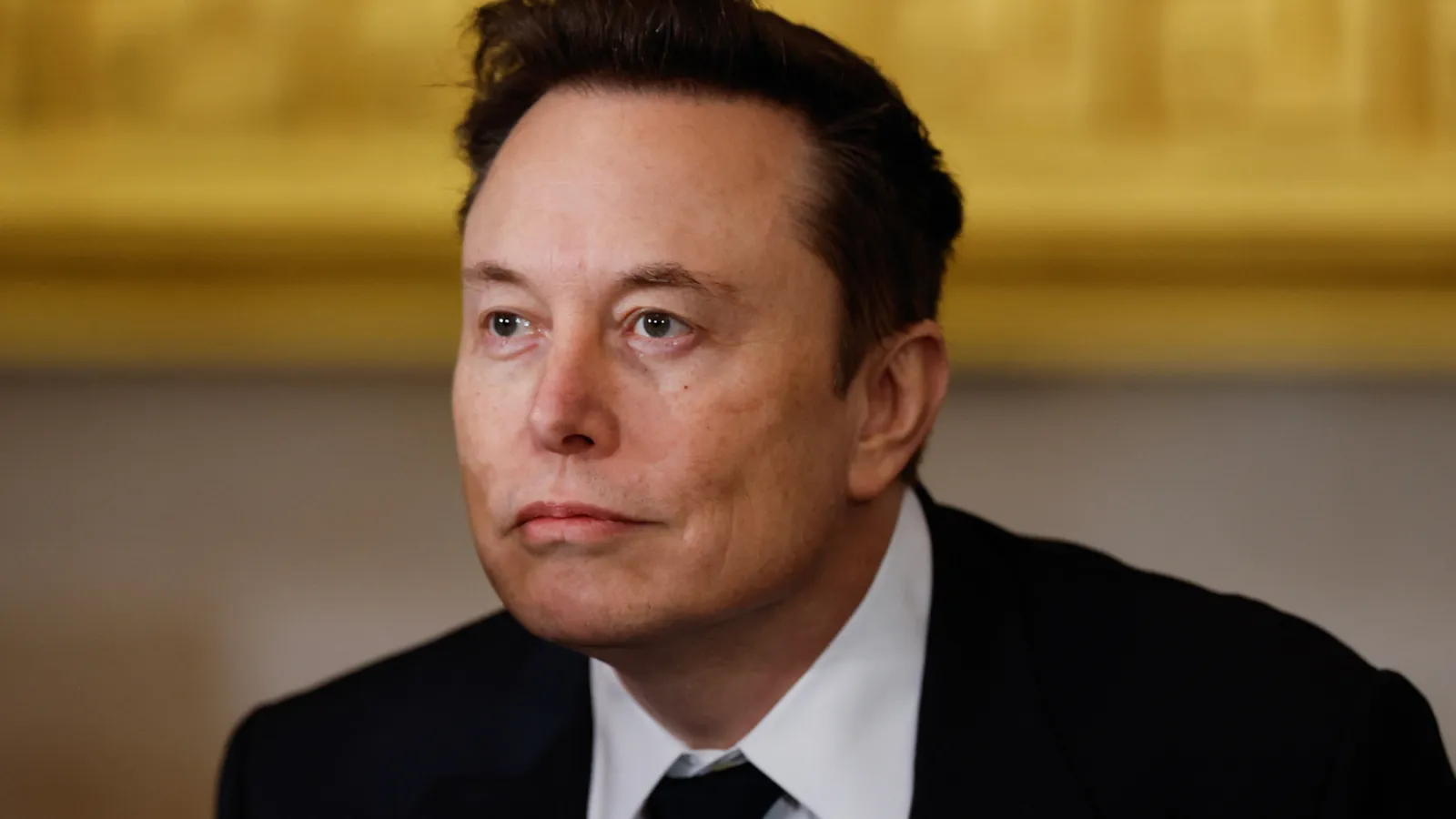 Grokipedia Whitewashes Extremism, Pushes Elon Musk's Far-Right Views