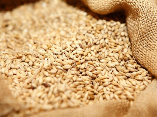 Experts for policy steps to ensure availability of wheat stocks