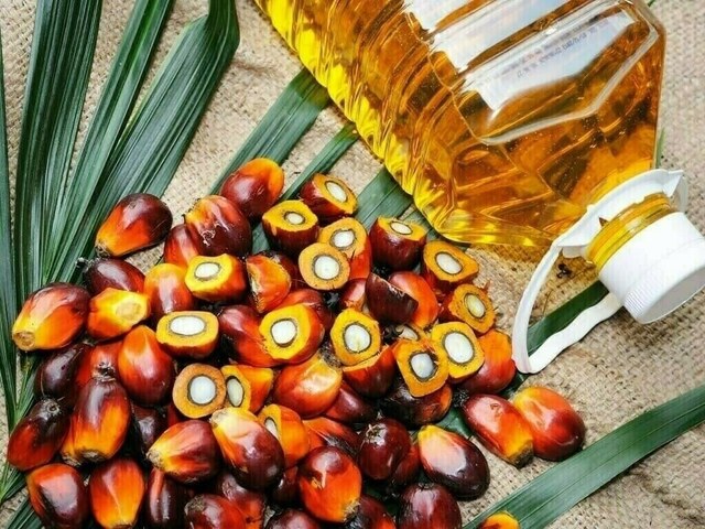 SAU, Dalda Foundation sign MoU to expand oil palm research