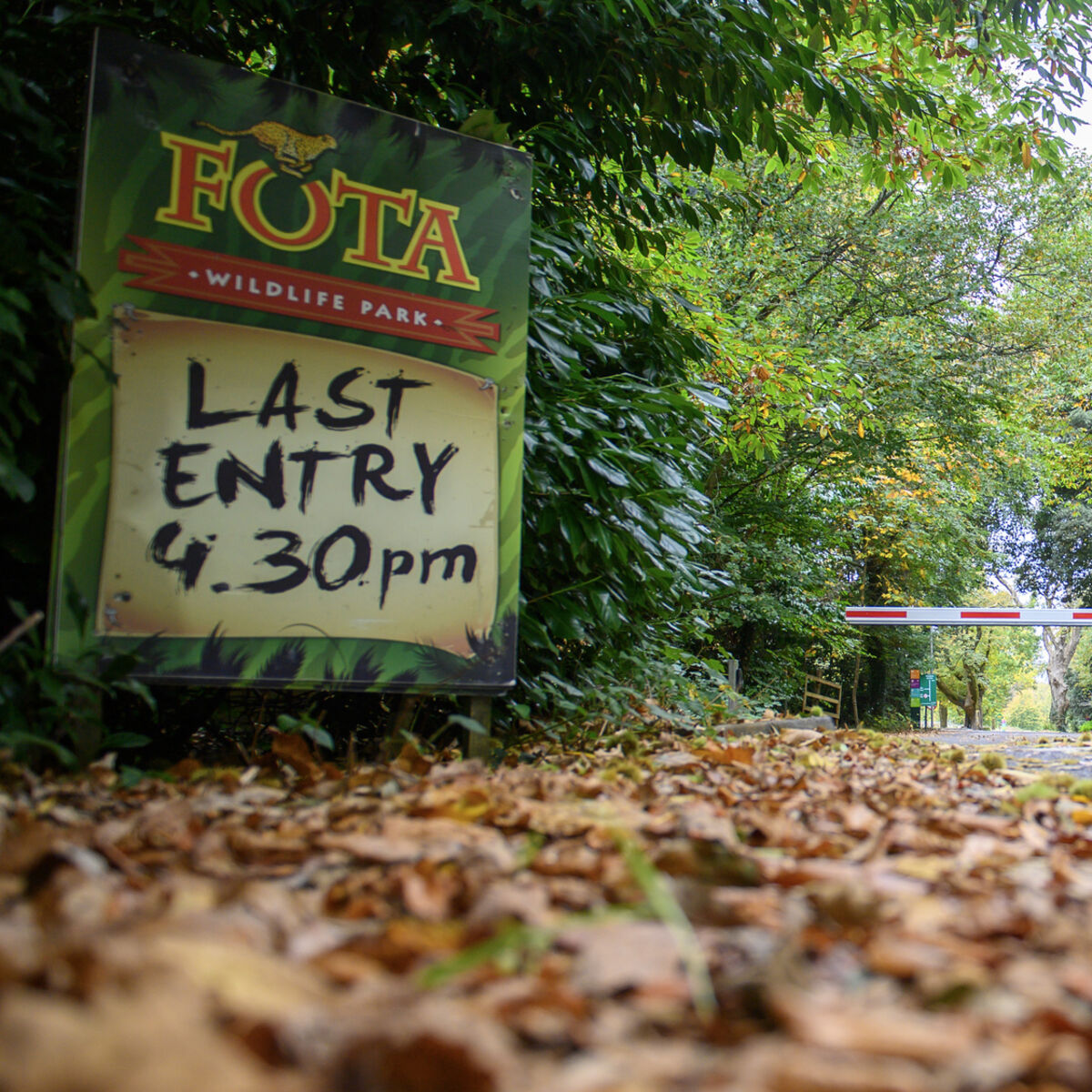 Cork's Fota seeks funding to meet €120k weekly costs after bird flu forces closure