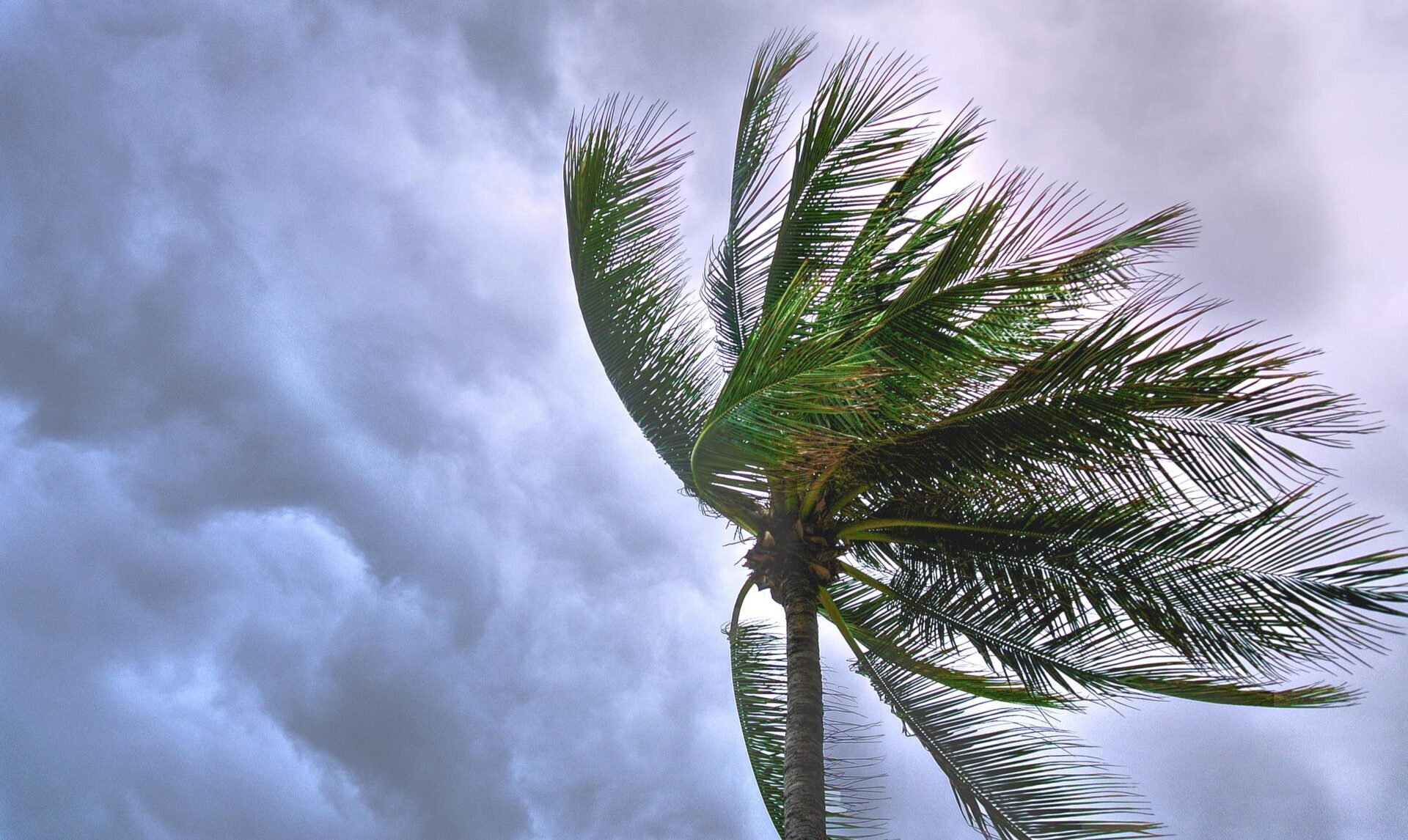 Hurricane Melissa may be ‘catastrophic’ for Jamaica, say experts