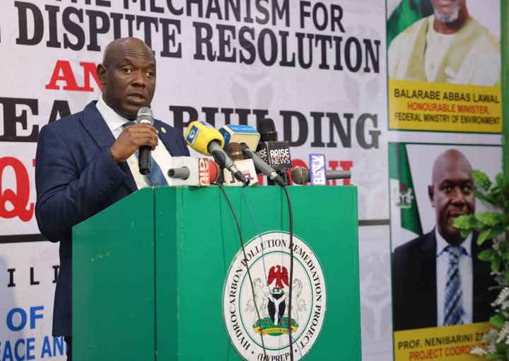 Ogoniland: HYPREP’s Project Contributes To Nat’l Peace, Devt – Zabbey