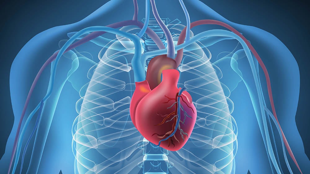 Medical Stock Nears Buy Point With Strong Outlook