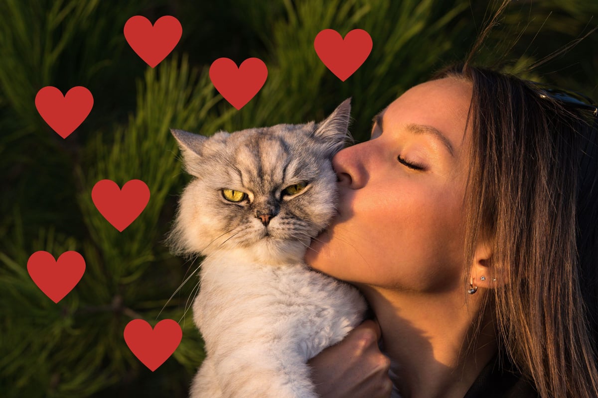 National Black Cat Day 2025: Here are 10 ways your cat expresses love for you - from kneading to head butts