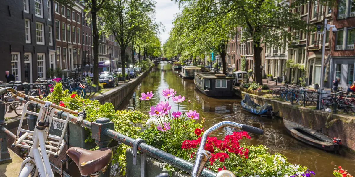 Things You Should Never Do in the Netherlands, Mistakes From Local