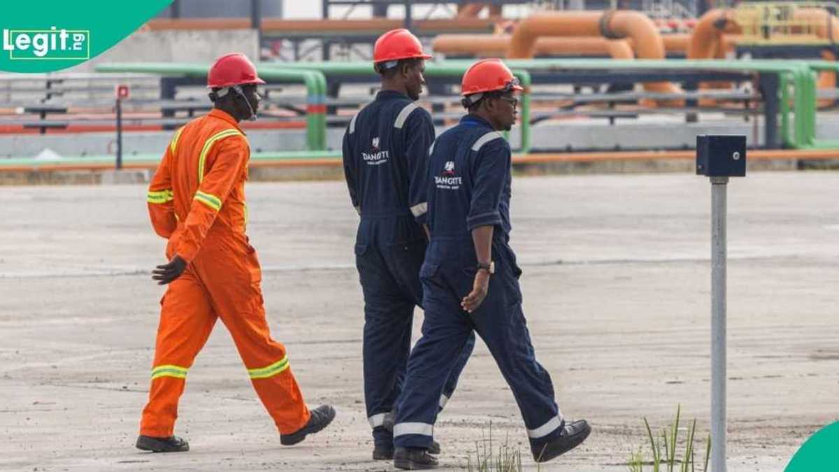 Find out how to apply as Dangote releases new job vacancies for graduates, ND holders