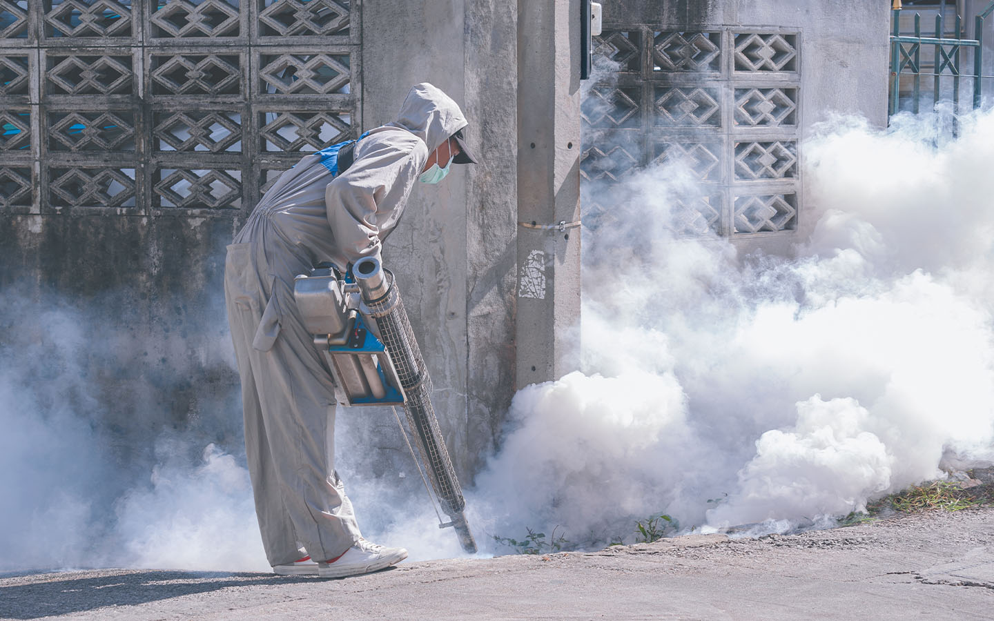 No transmission chain detected after Hong Kong’s first local chikungunya case