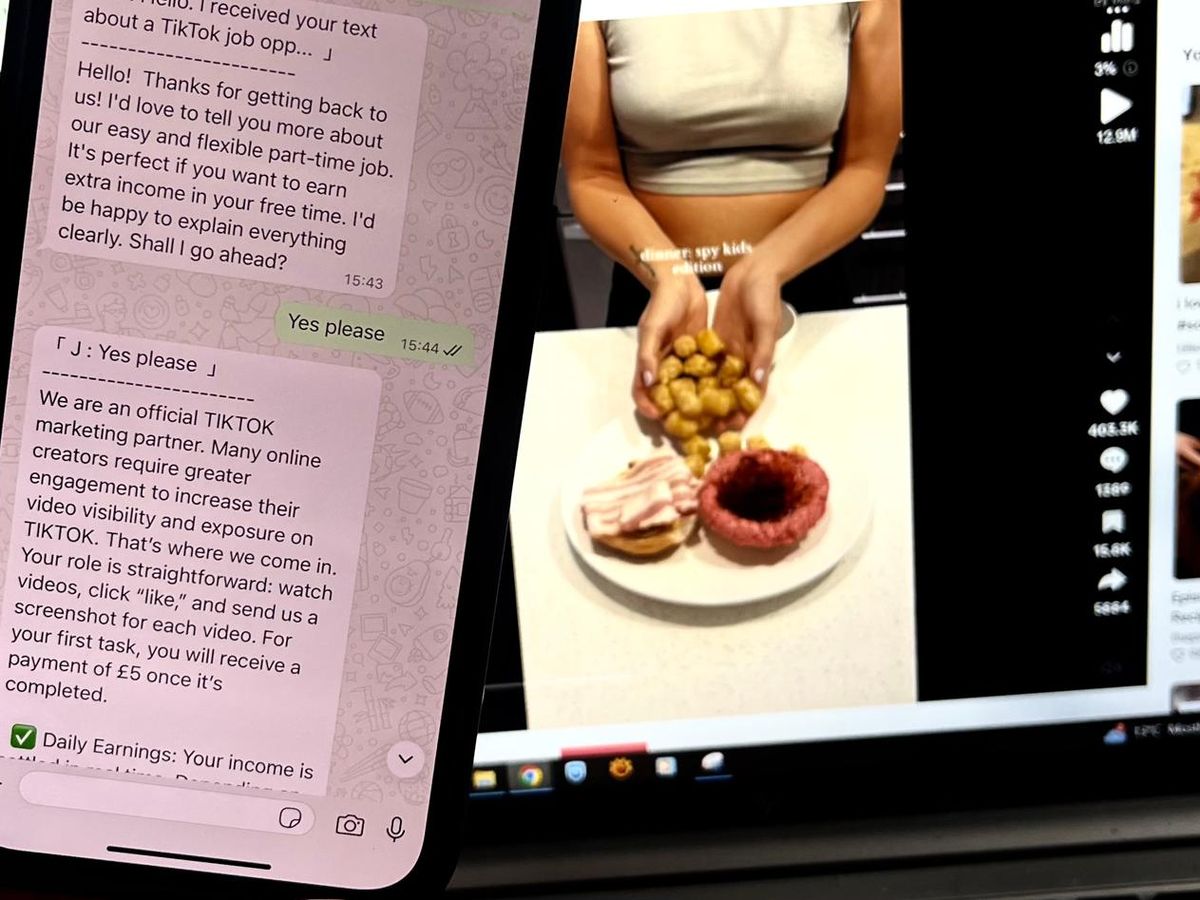 We clicked the link on the 'TikTok' job text scam