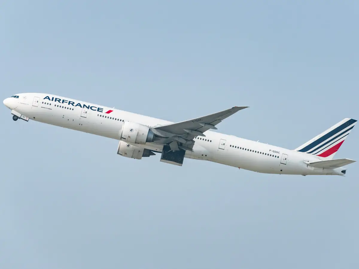 Air France passengers endured a flight to nowhere when their plane's cabin got unbearably hot