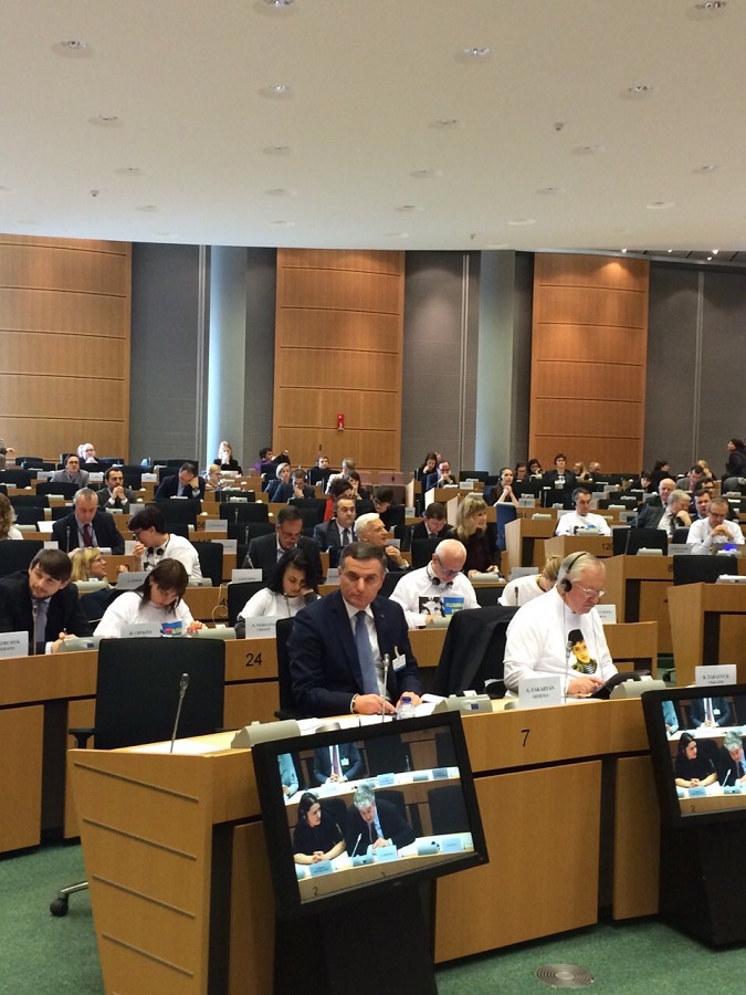 Reflections on the Euronest Parliamentary Assembly and Armenia’s Path toward European Values