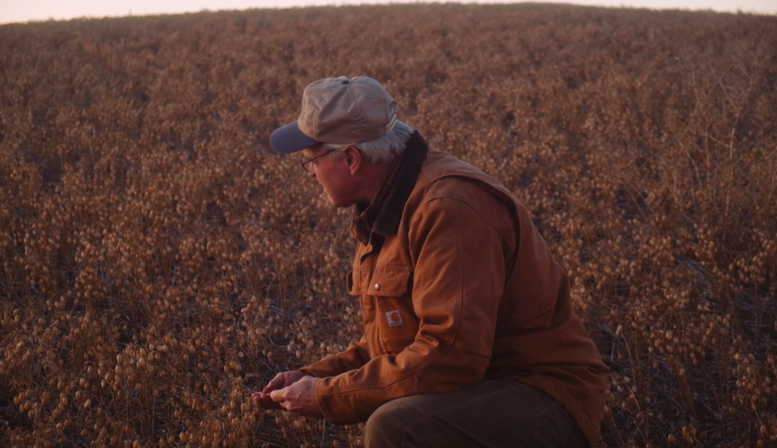 Farmer: Why Do Our Dietary Guidelines Recommend Healthy Vegetables the Least? | Opinion