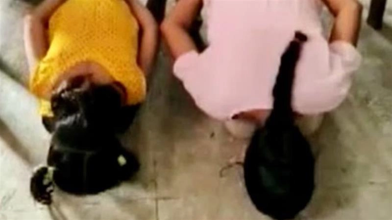 Burhanpur: Madhya Pradesh Teacher Suspended for Allegedly Making Students Offer Namaz Before Yoga Session; Enquiry Ordered After Parents’ Complaints (Video)