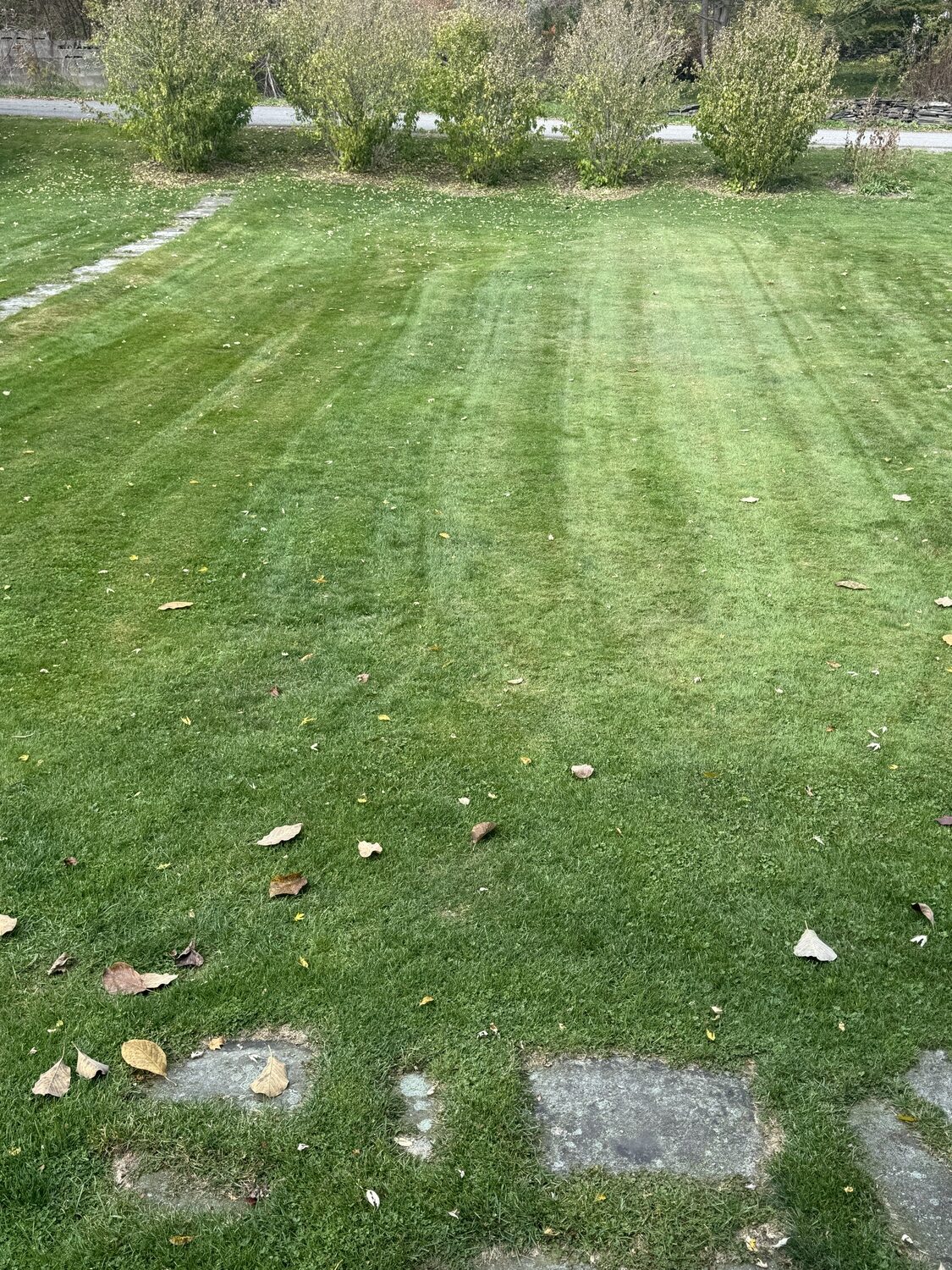 Leave My Lawn Alone, Please: Why Turf Isn't the Enemy