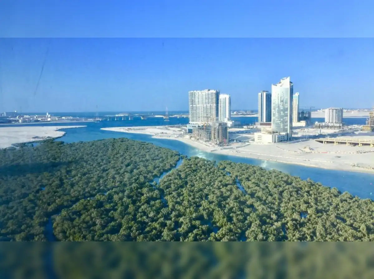 Saudi hosts world's business elite with eyes on gigaprojects, AI