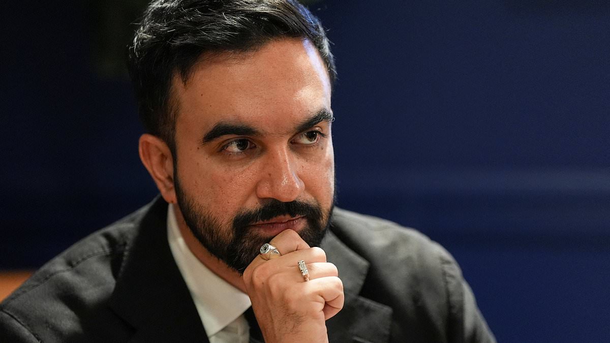 Zohran Mamdani's deep family ties to George Soros revealed: TOM LEONARD unravels years-long web of finances and scheming that leads (wouldn't you guess it!) to Obama