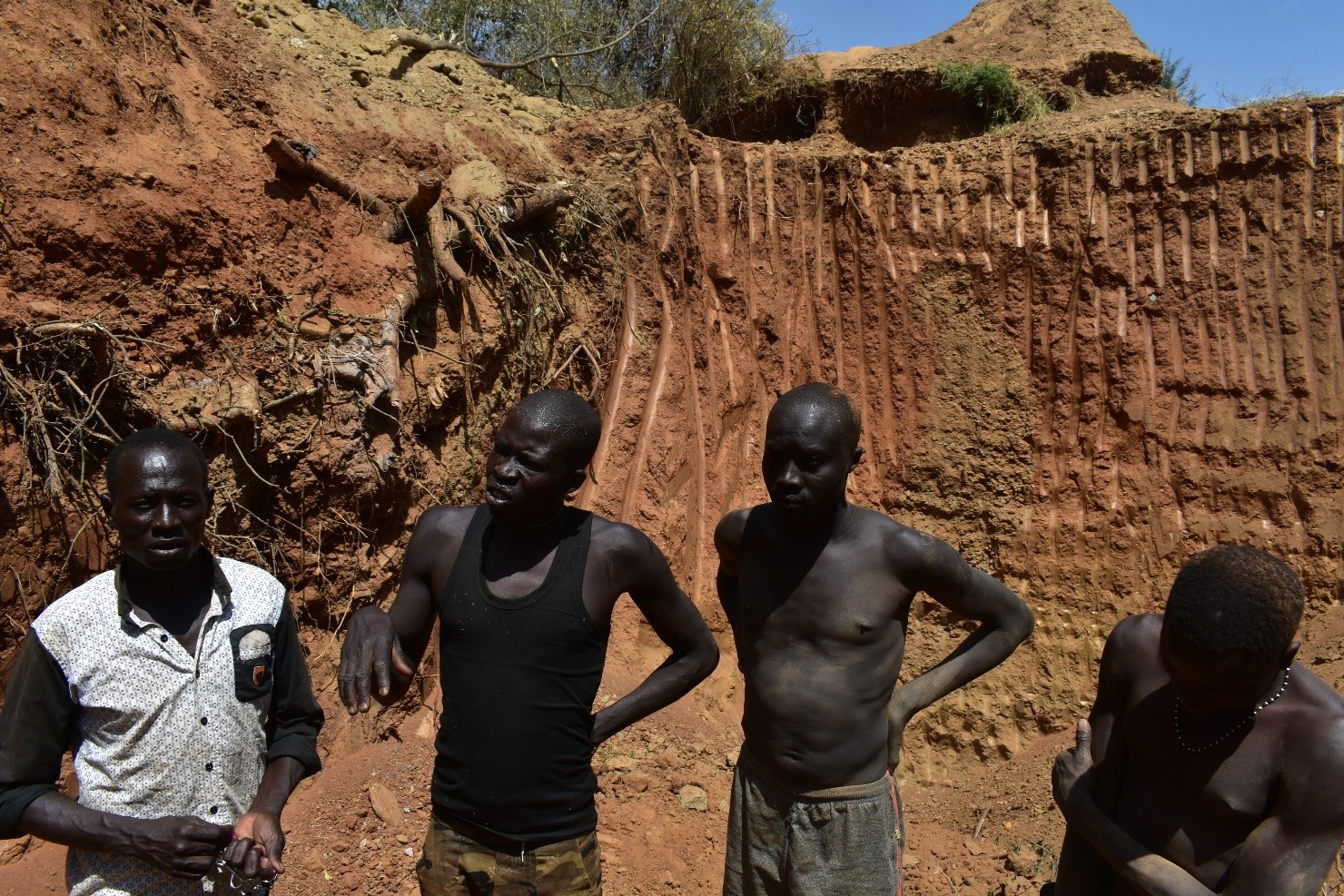 Eastern Equatoria bans foreigners from illegal mining and logging