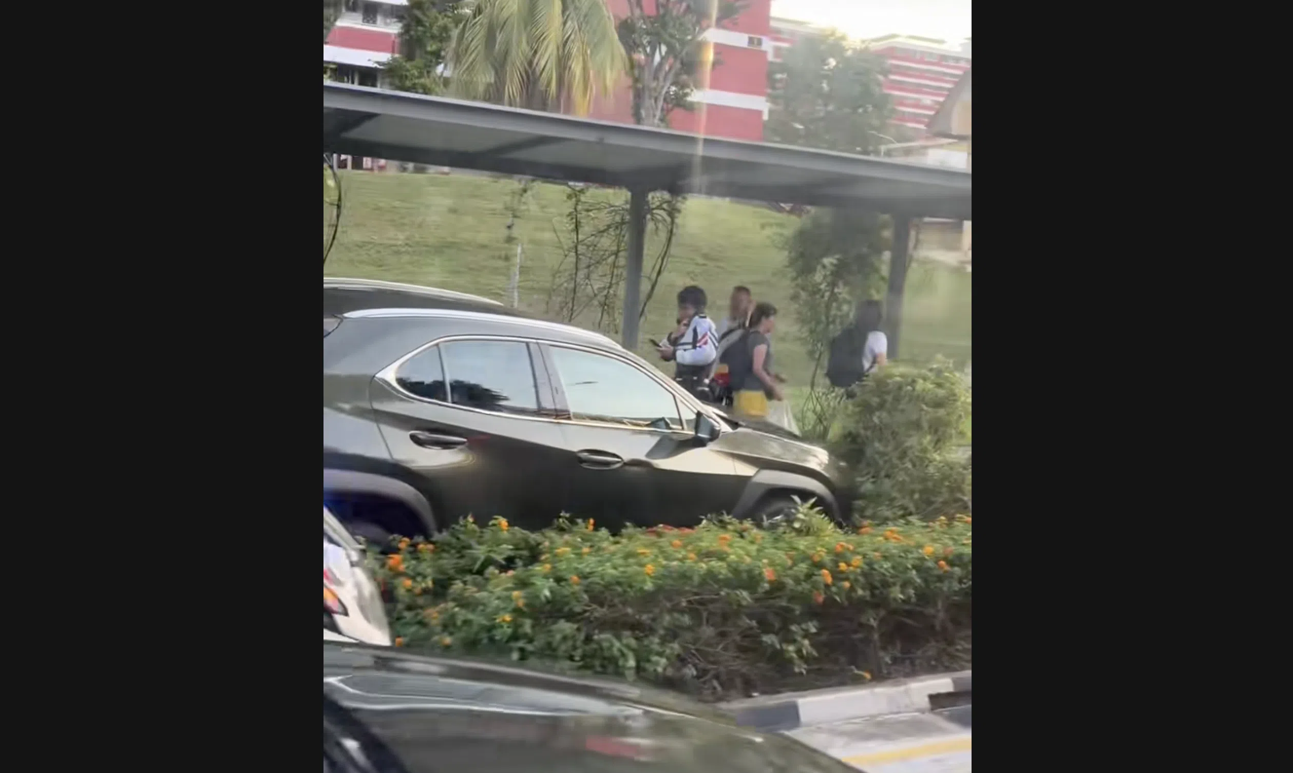 Viral video of Lexus SUV on grass verge draws derision from netizens