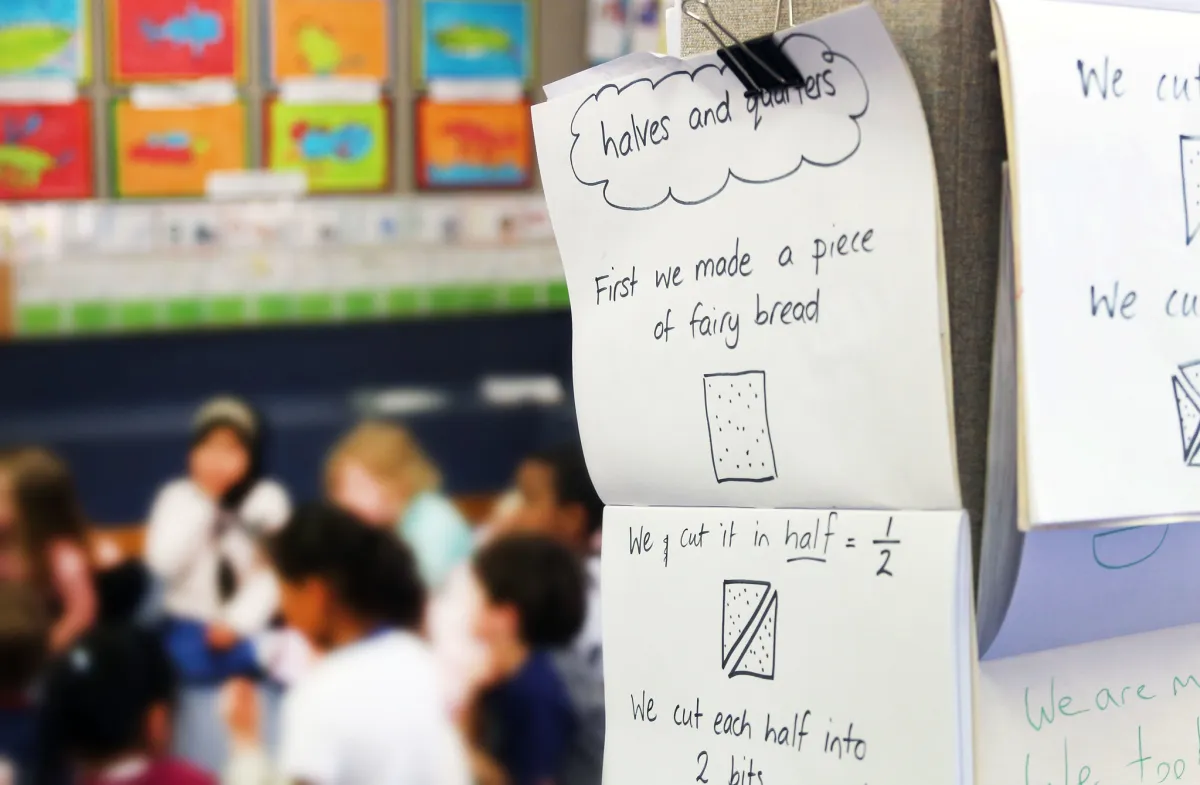 New, new curriculum setting kids up to fail – maths experts