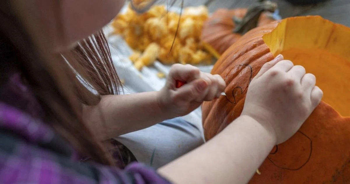 Don’t toss your Halloween pumpkin - bake, compost or feed it to farm animals instead