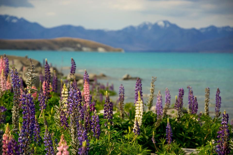 Children are in danger as winter approaches and strikes resume in Ukraine