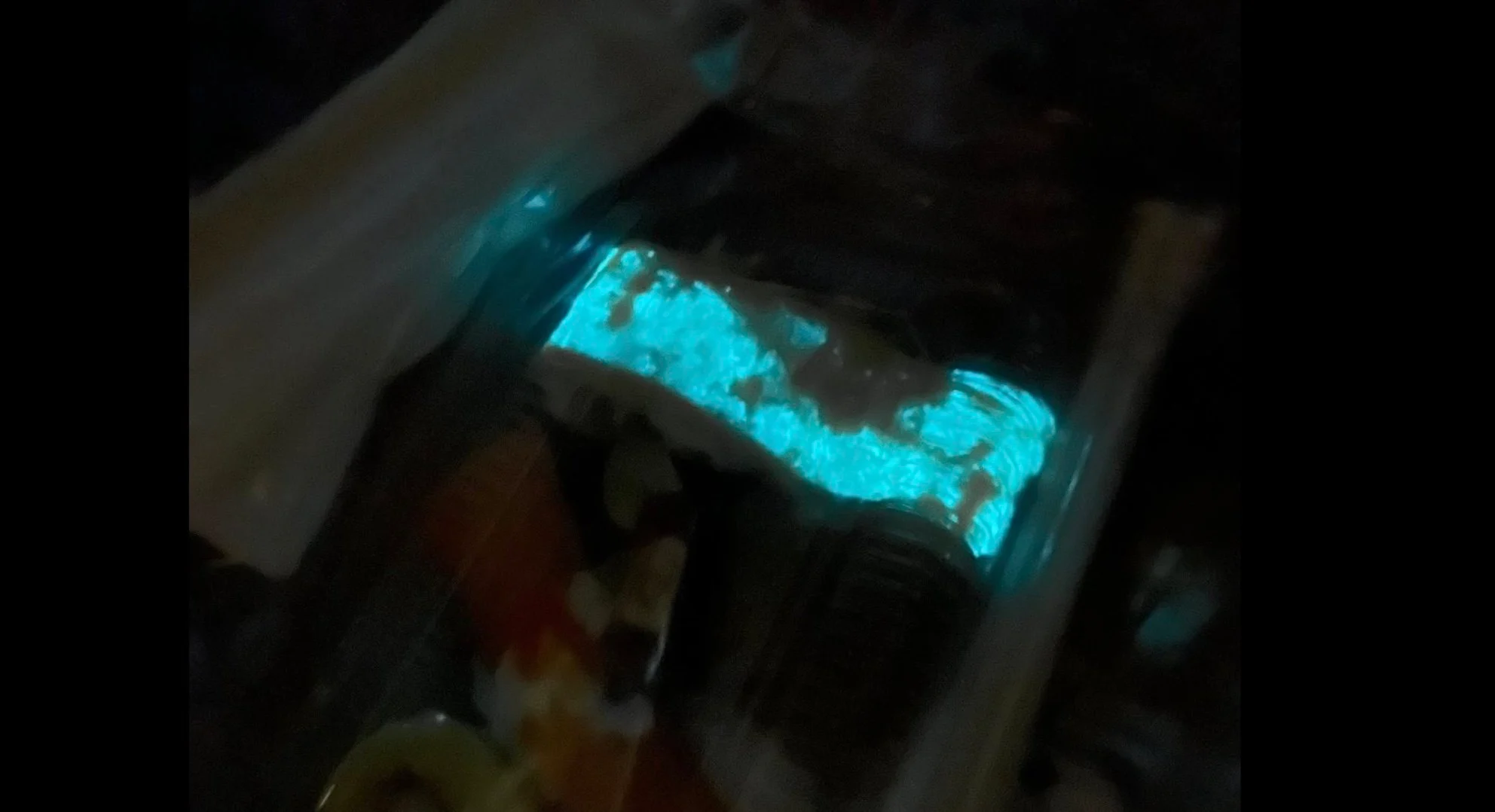 Fishy food: glow-in-dark sushi in Thailand sparks alarm – ‘don’t eat it’