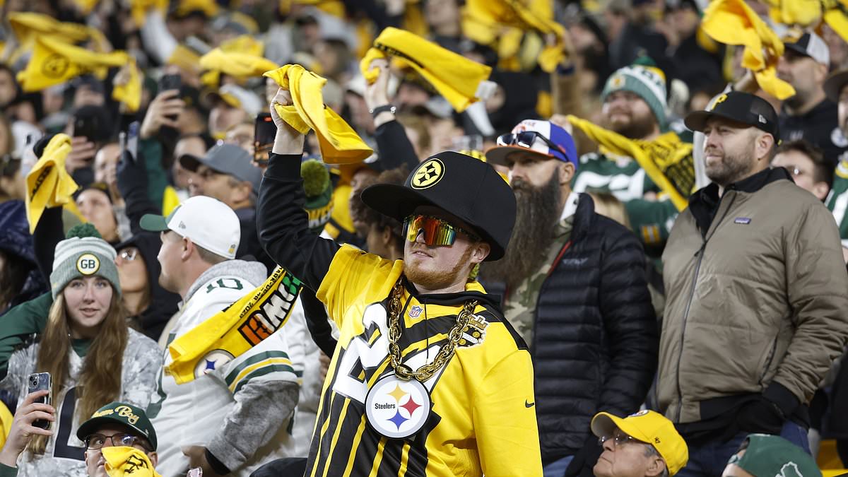 Pittsburgh stadium worker in 'critical condition after falling 50ft from scoreboard' before Sunday Night Football