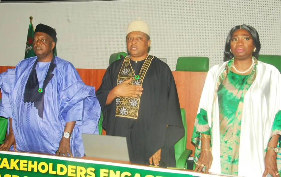 Nigerians in diaspora, catalyst for holistic growth —Dabiri-Erewa