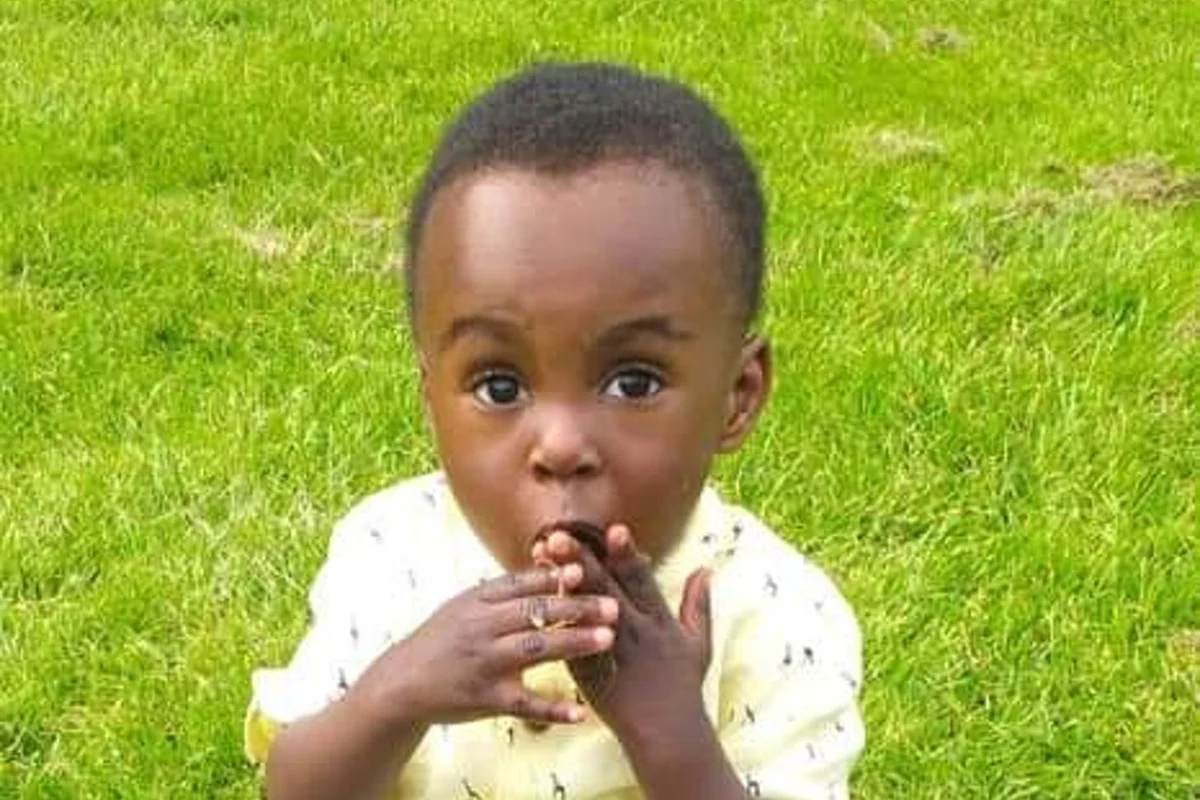 Damp and mouldy homes still an issue as Awaab’s Law comes in, campaigners warn