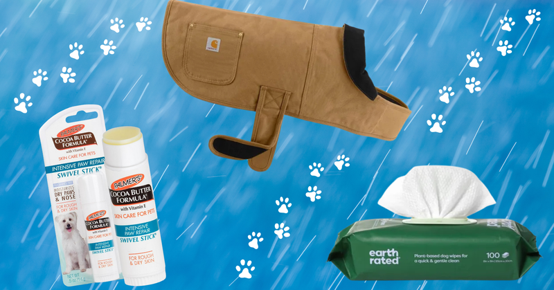 10 Dog-Walking Essentials For Cold And Rainy Weather