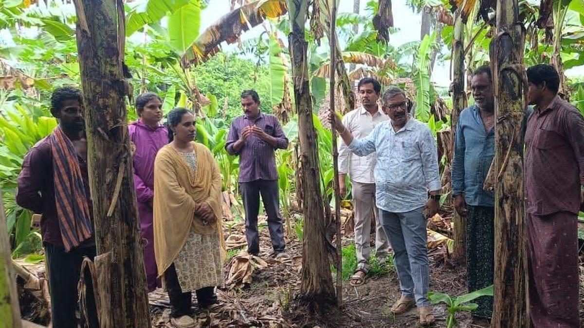 Cyclone Montha: nearly 10,000 people being evacuated in Dr. B.R. Ambedkar Konaseema district