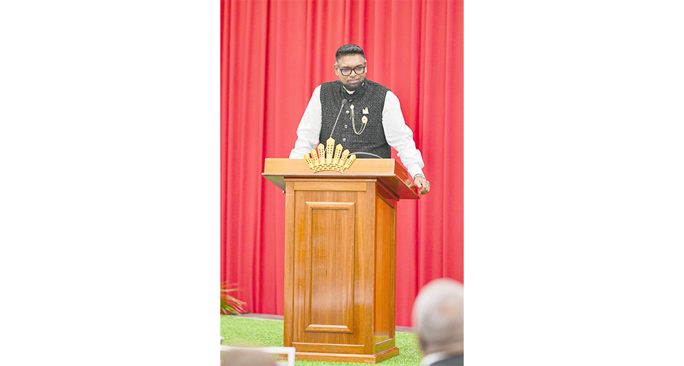 Major tourism investment projects to be advertised – President Ali