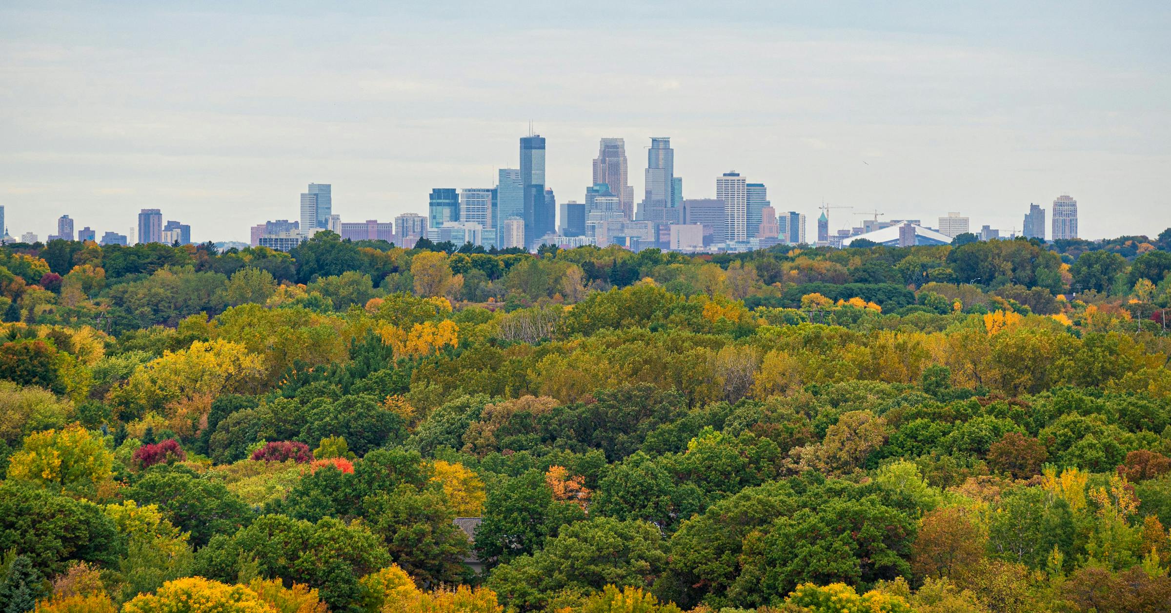 I’m the compassionate leader Mpls deserves