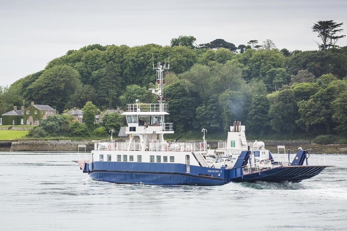 Strangford ferry price hike: Residents 'afraid increases won't stop' after second rise in two years