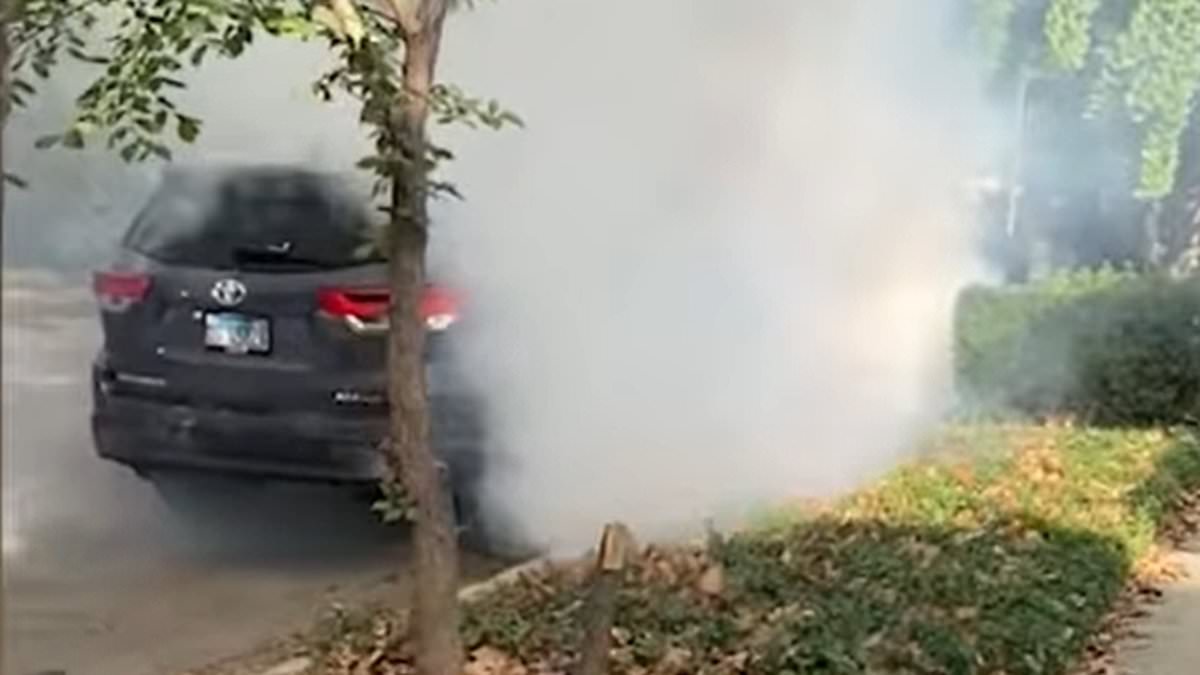 Chicago locals up in arms after Border Patrol deploy tear gas on street just minutes before kids' Halloween parade