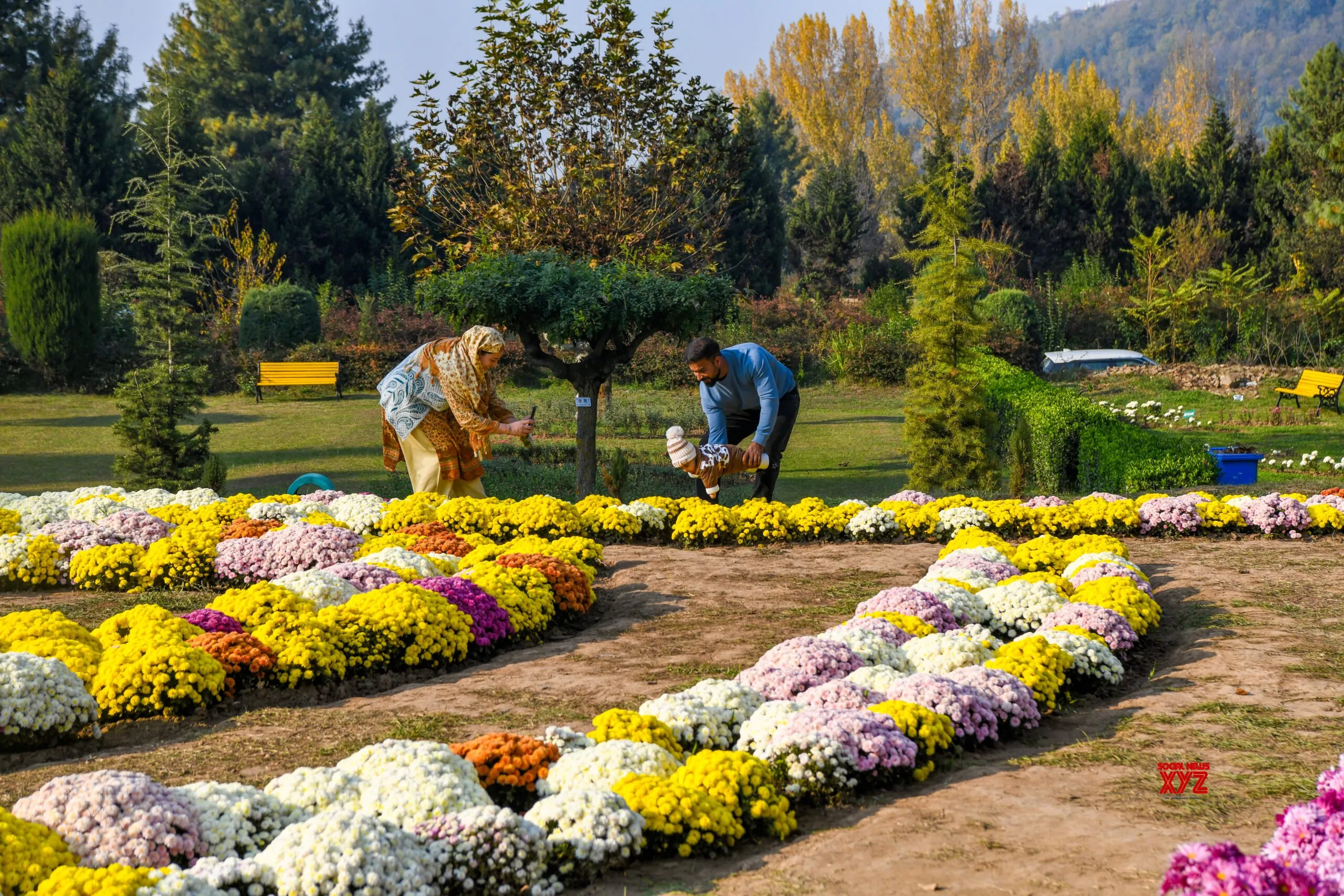 Srinagar: Visitors stroll Chrysanthemum Garden #Gallery
